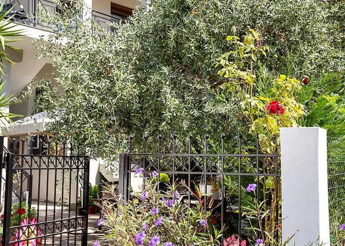 Apartament Aura House *